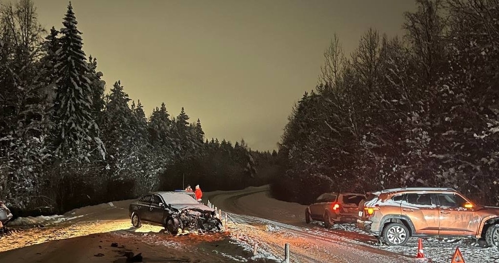    фото: © ГАИ по Петрозаводску