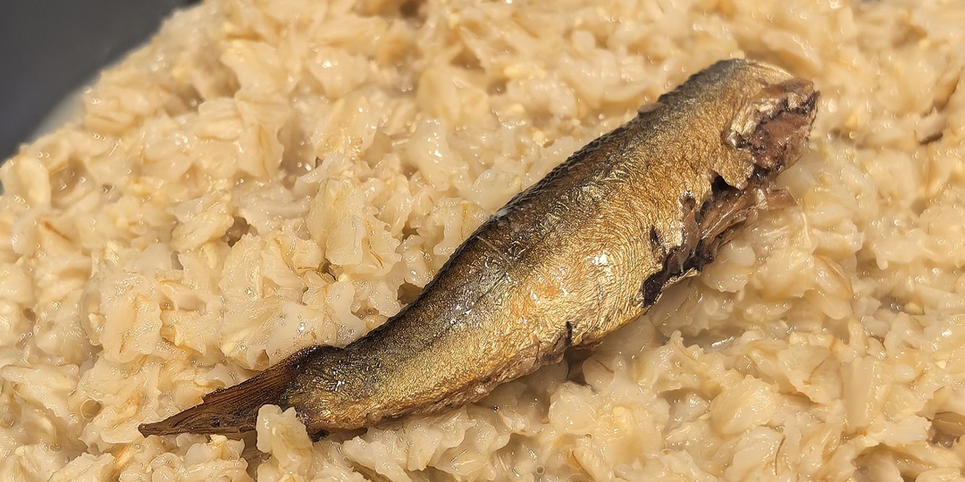 Овсянка со шпротами. История о том, как я нашла гениальность в самом странном месте