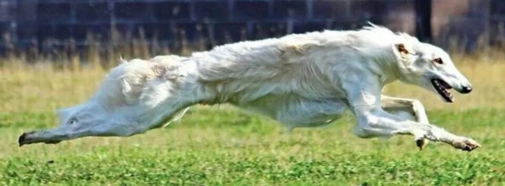 Изображение из открытых источников