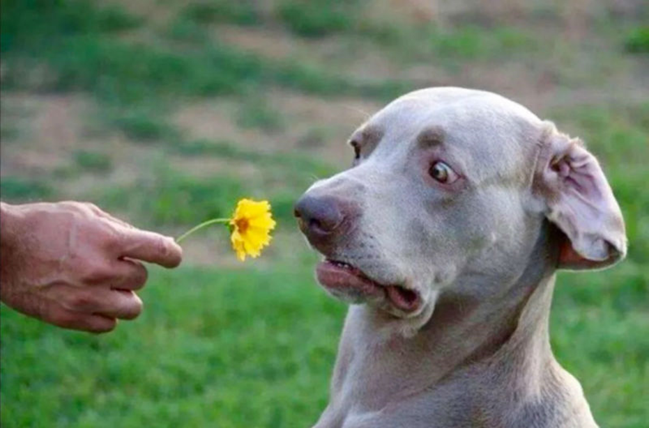 в этом нет ничего плохого, если это делается за закрытыми дверьми