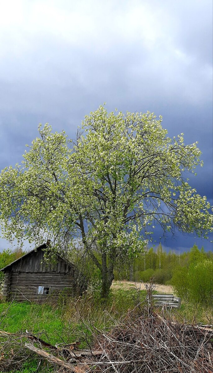 Из личного архива автора