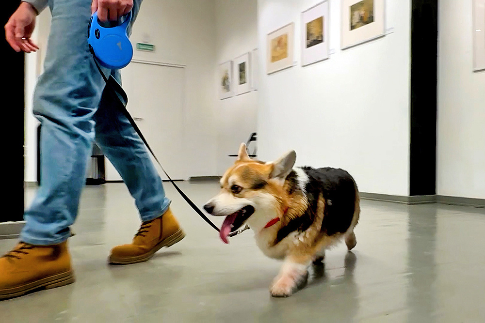    ©АО "ТВ Центр"