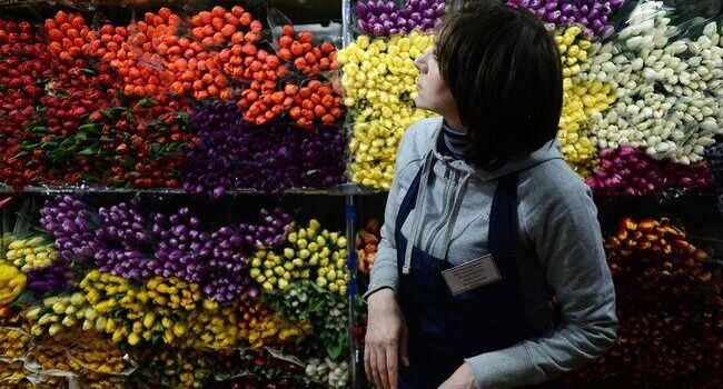    РИА «Новости»