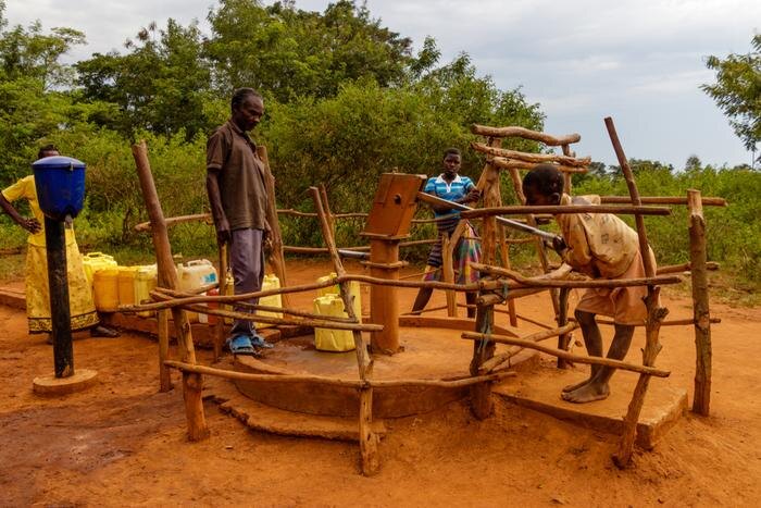 Обложка © Shutterstock / FOTODOM / Dennis Wegewijs