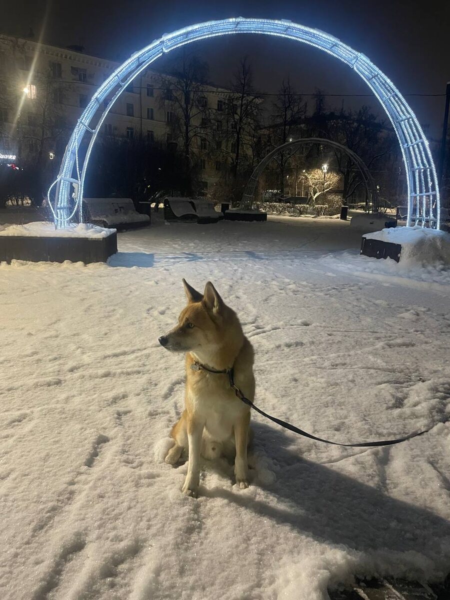 Сонный я перед поездкой/примерно 4 часа ночи