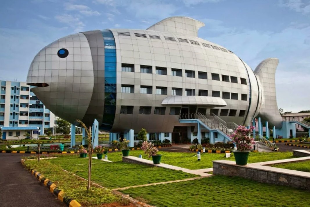 Национальный Совет Развития Рыбного Хозяйства (2012, Индия)
Горбатый Дом