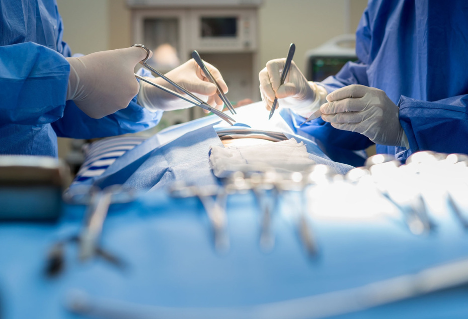    Shutterstock/FOTODOM