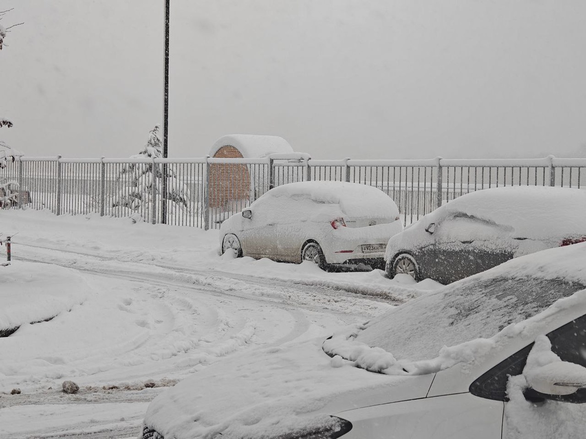    Фото: Юрий Серебренников/BFM Кубань