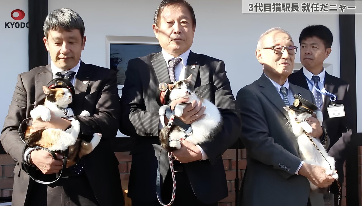    Традиция началась почти 20 лет назад