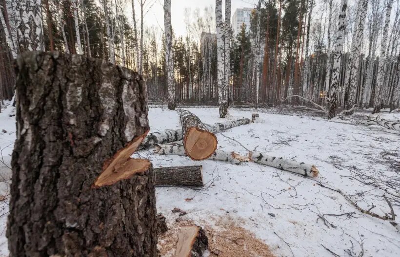     © РИА Новости. Антон Буценко