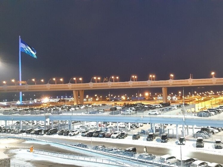     В период с 1 по 11 января выпало около 40 сантиметров снега. Фото: архив МК в Питере