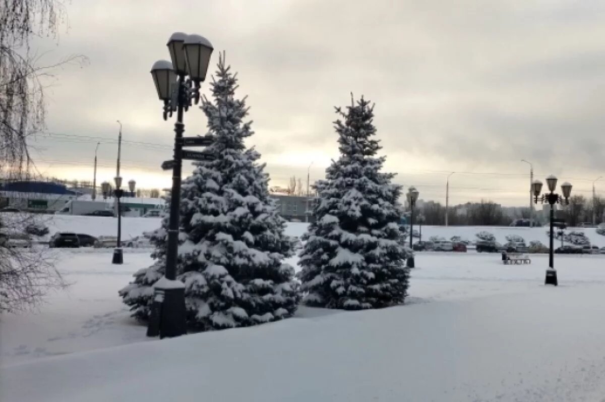    Профессор Ткаченко объяснил причину перепадов температуры на Кубани