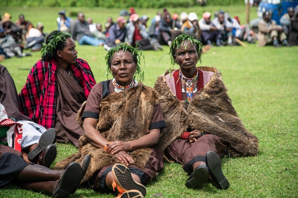   Примаков рассказал об открытии "Русских домов" в Мали и ЦАР GLOBAL LOOK PRESS