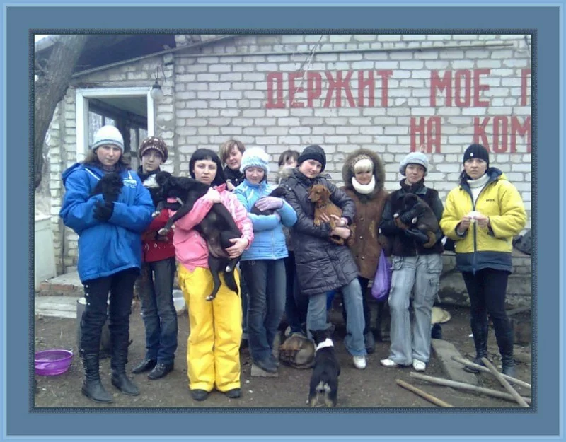 Фото из архива Горловского приюта "Верный друг"
