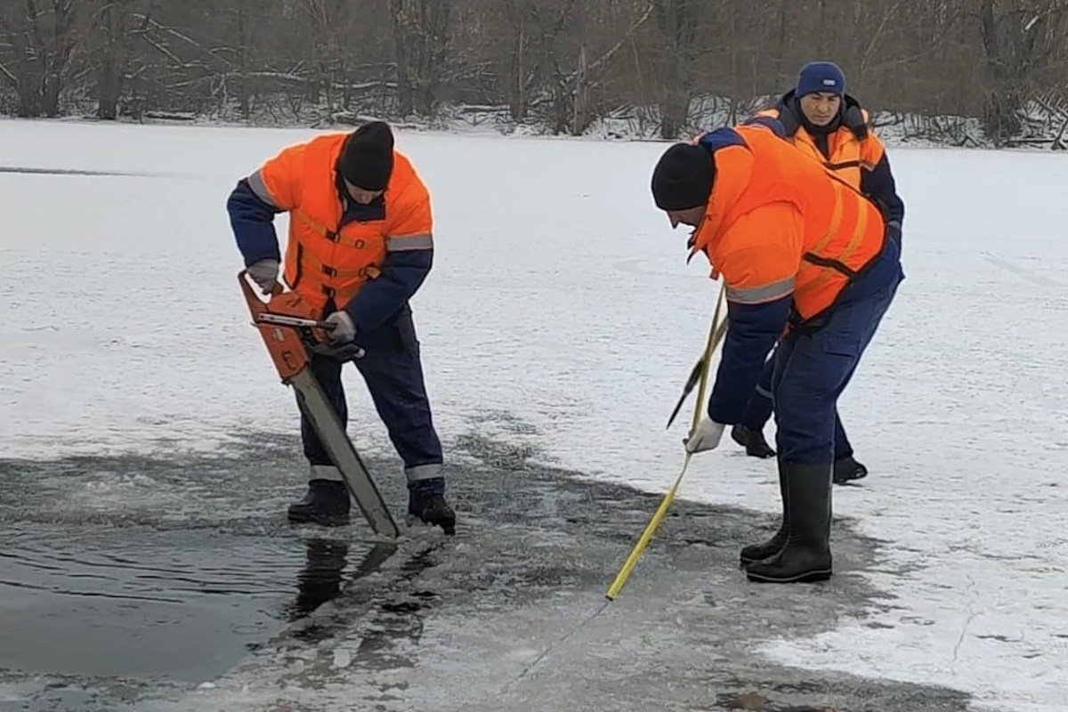    Фото: администрация г. Липецка, источник: t.me/gorod_lipetsk48