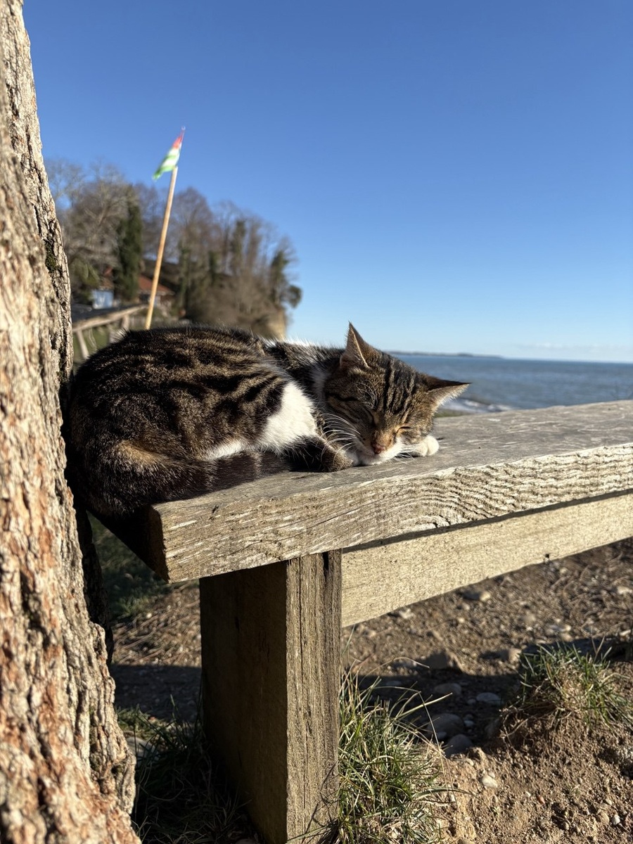 На побережье, неподалеку от храма Амбара