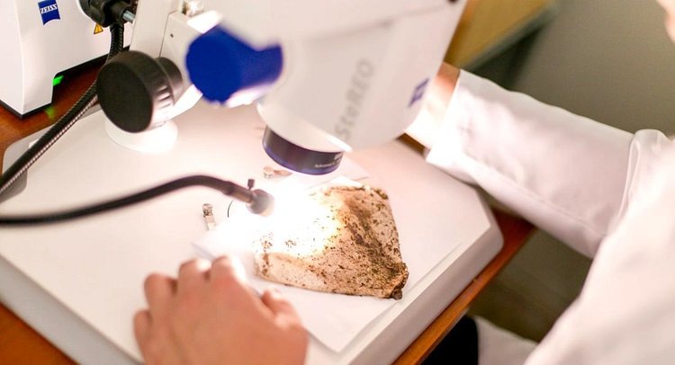    В Волгоградской области растет интерес к внесению органических удобрений из ППЖ