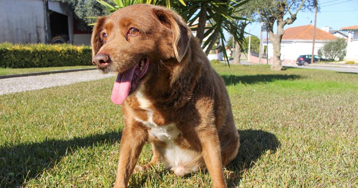 источник фото: https://n1s1.hsmedia.ru/33/98/55/3398551a73b5145c03b38bbf12786484/1200x630_0xEjgQRgRe_3409797260043348463.jpg