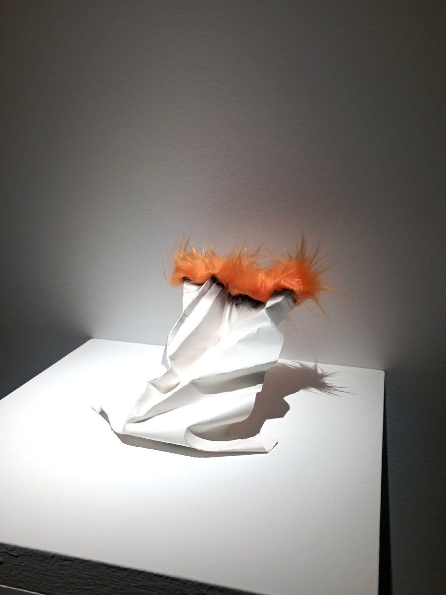 Работы Ростана Тавасиева