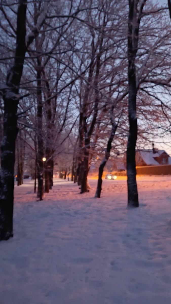 На рассвете