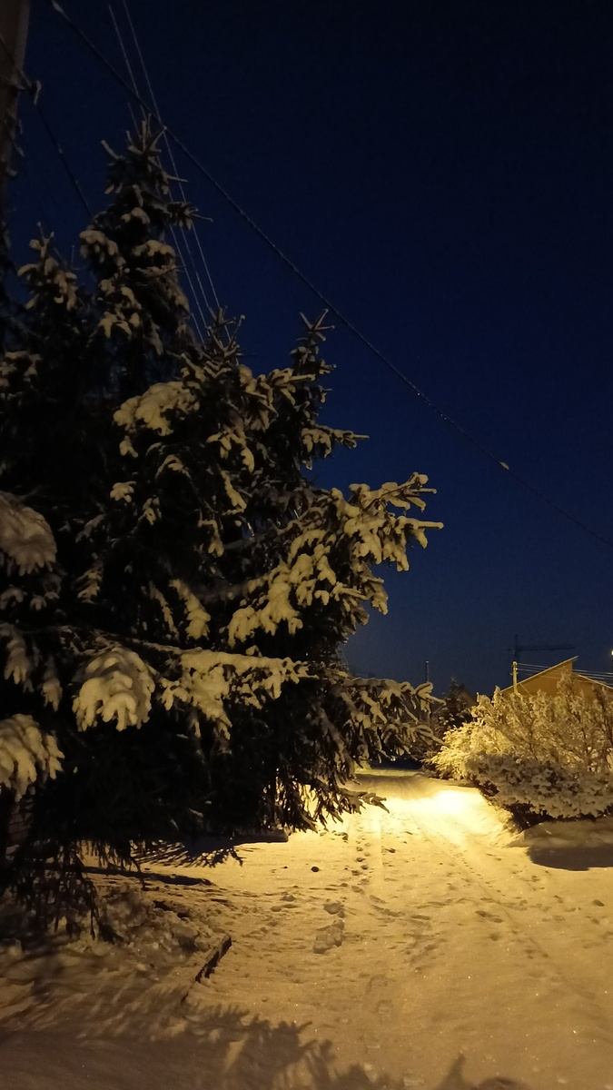 Утром по дороге в школу