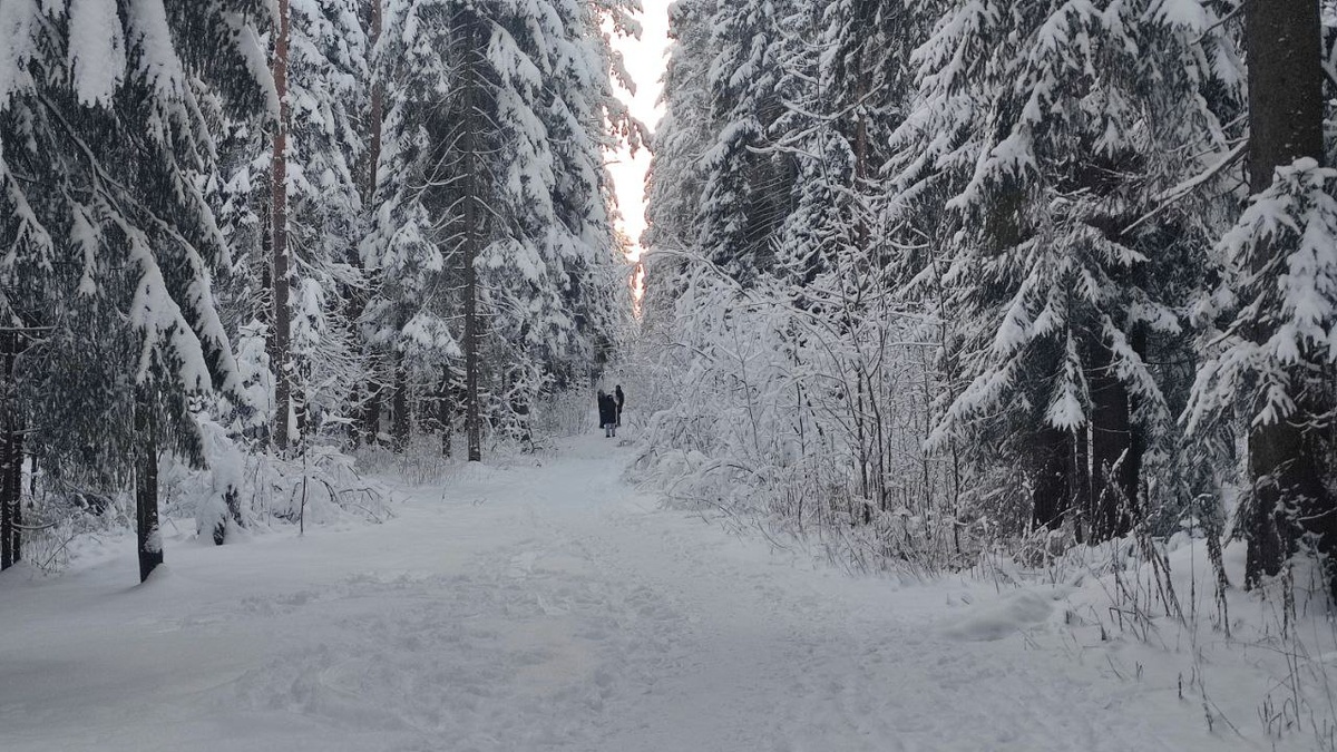 Вот примерно по такой улице проходит линия