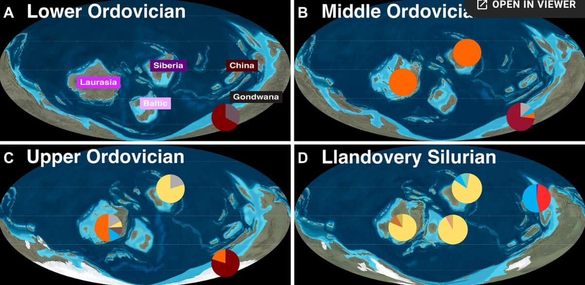    Суша Земли в ордовике и начала силура была сконцентрирована в основном в южном полушарии / © Wahei Hagiwara et al.