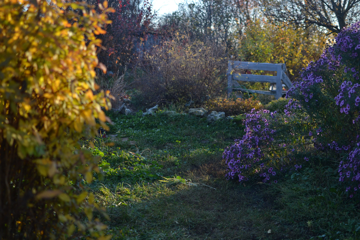 Осенний сад