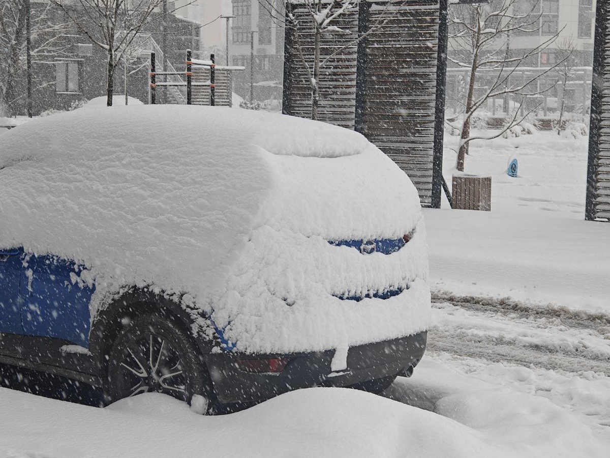    Фото: Юрий Серебренников/BFM Кубань