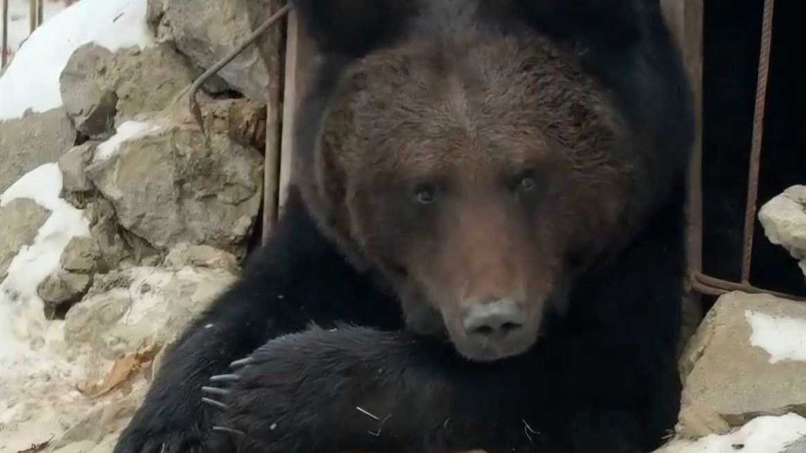 Фото: dvnovosti.ru