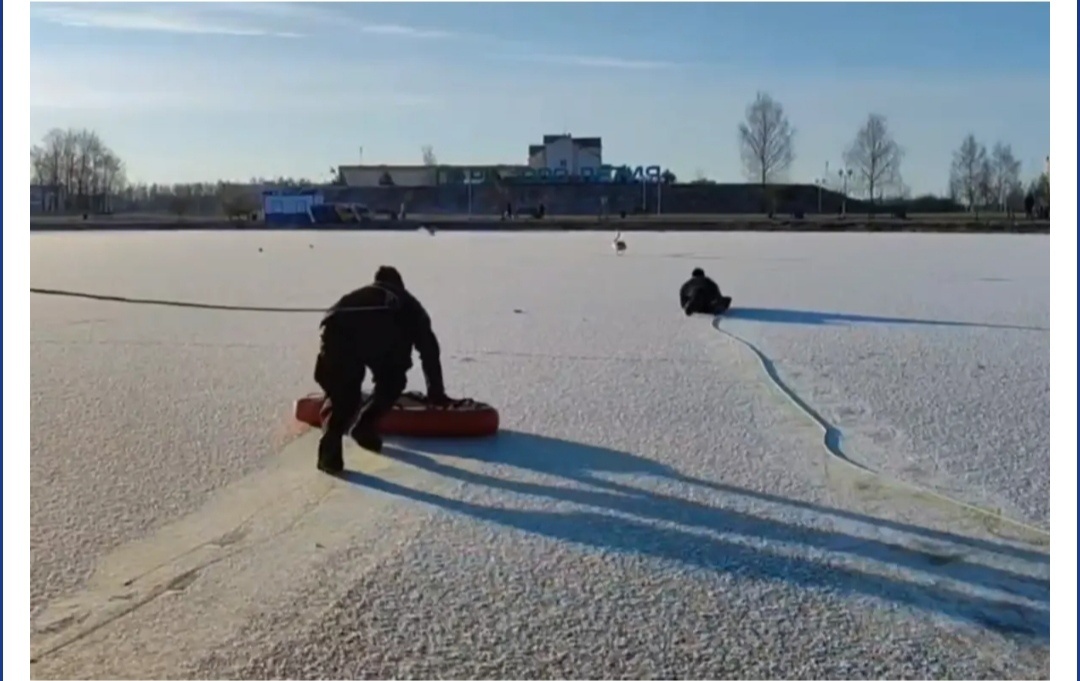 Фото news brestcity.com