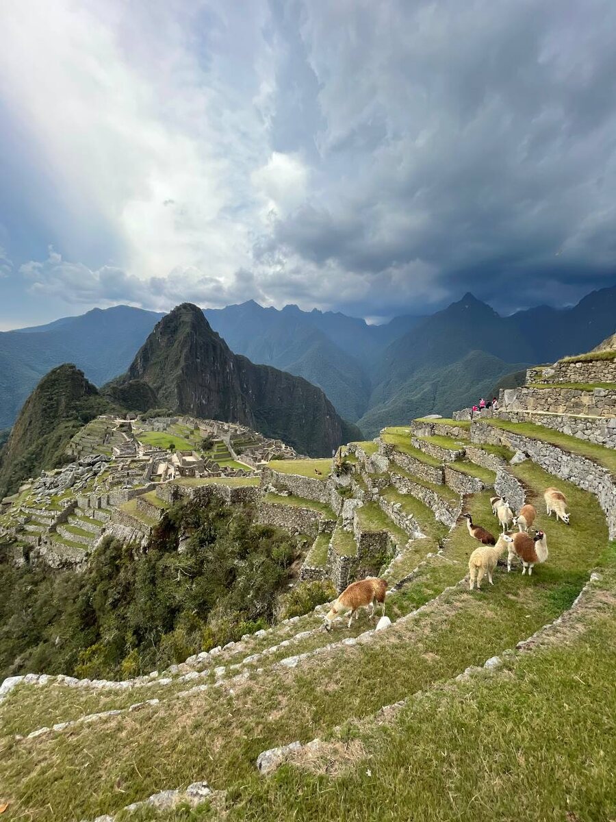 Мачу-Пикчу
