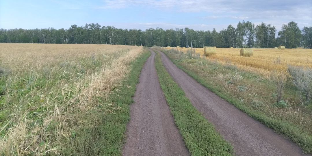 Сердце сироты. Глава 5.