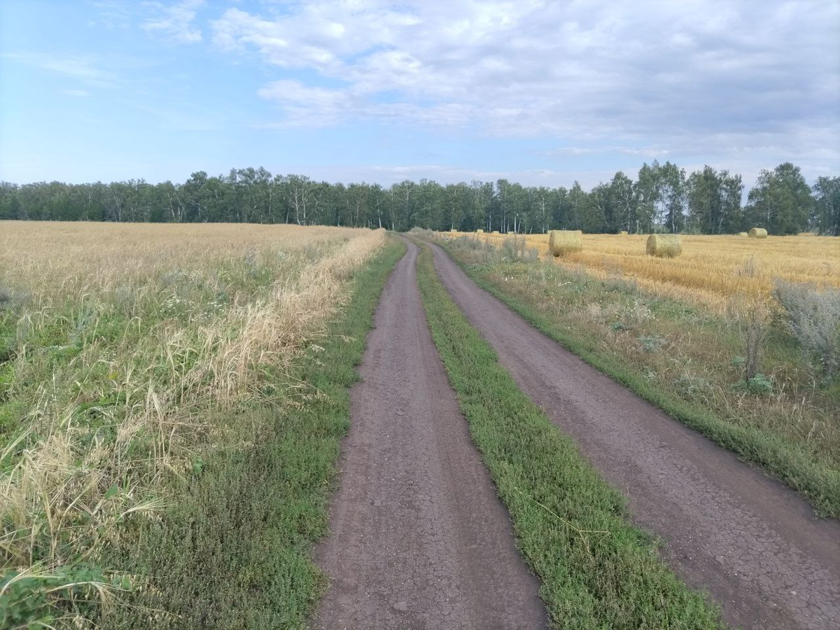 Фото автора.