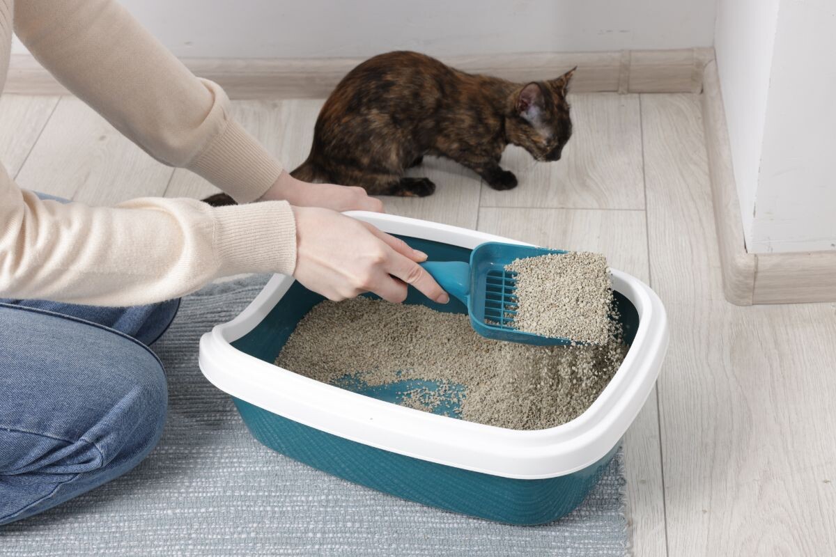 Чистка лотка 