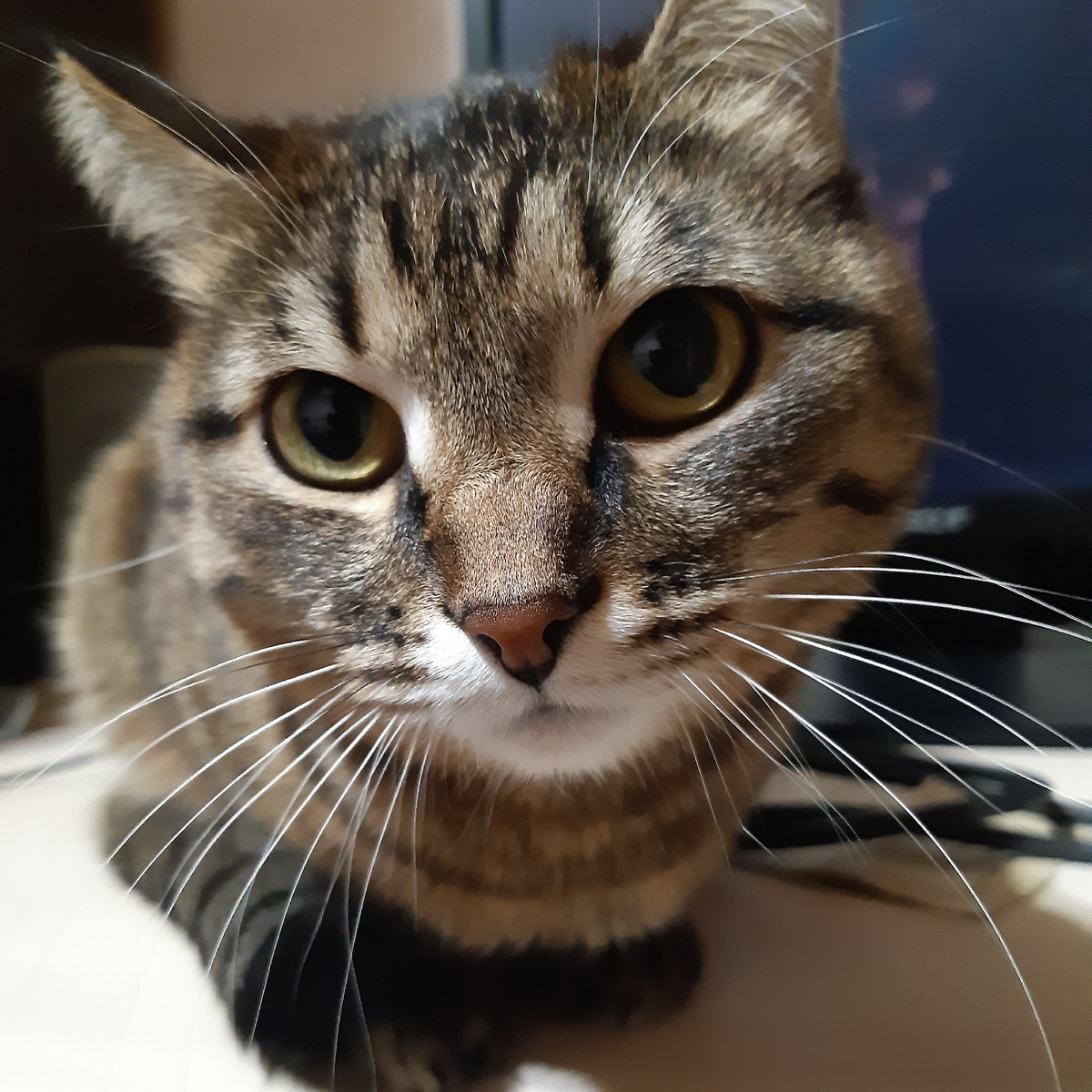 Фрося вот решила сесть прямо передо мной