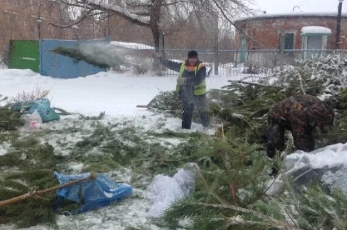    В Ульяновске отработают вопрос утилизации новогодних ёлок