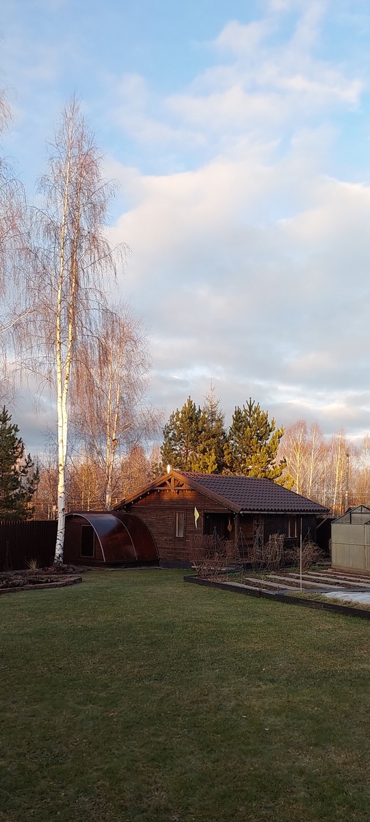 Ноябрь 2025. Вид с веранды дома. Справа - кусочек цветника. Слева - огород. На дальнем плане - баня.