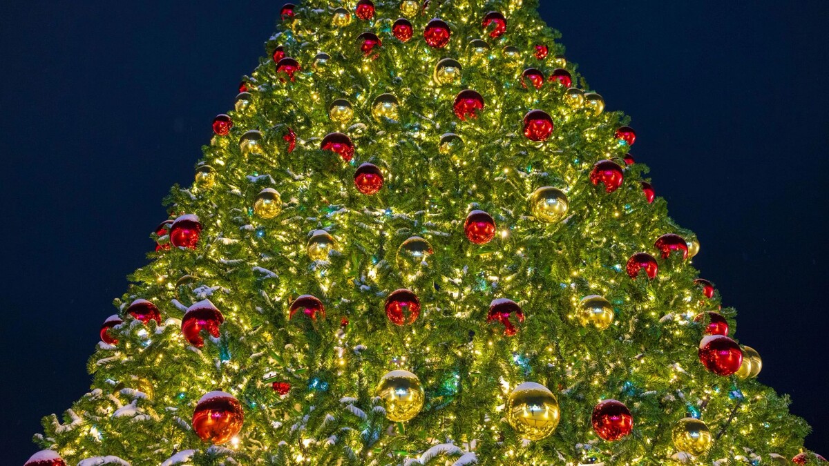    Фото: Федор Воронов / «Ямал-Медиа»