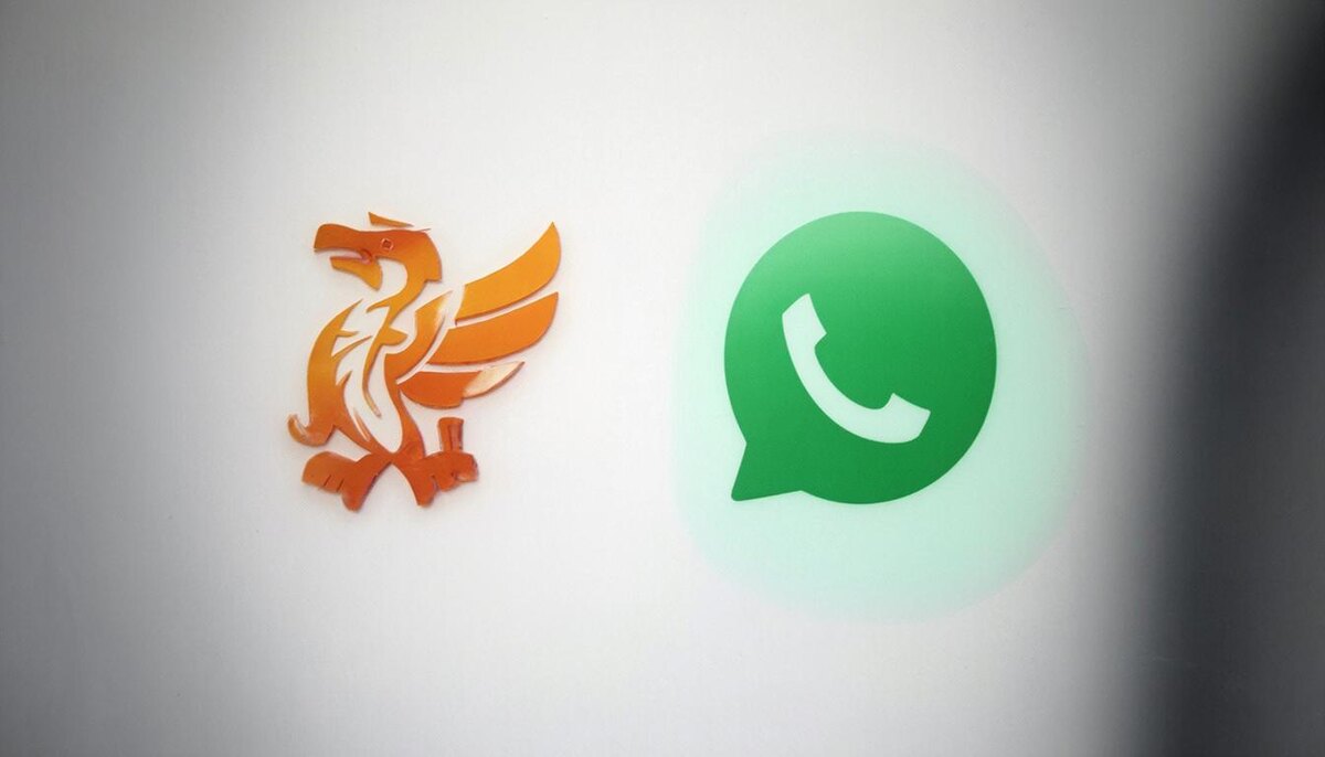 Роскомнадзор, видимо, вскоре окончательно заблокирует WhatsApp*.