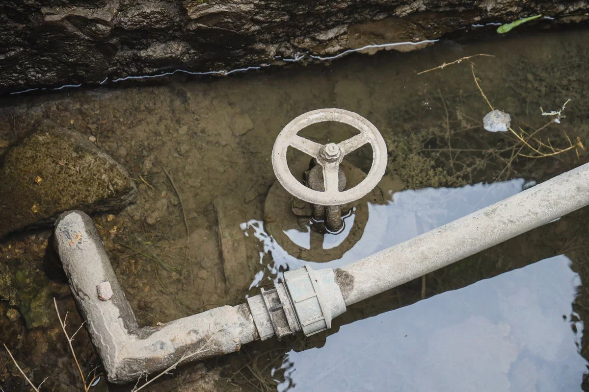    Фото: ТРК «Таврия»