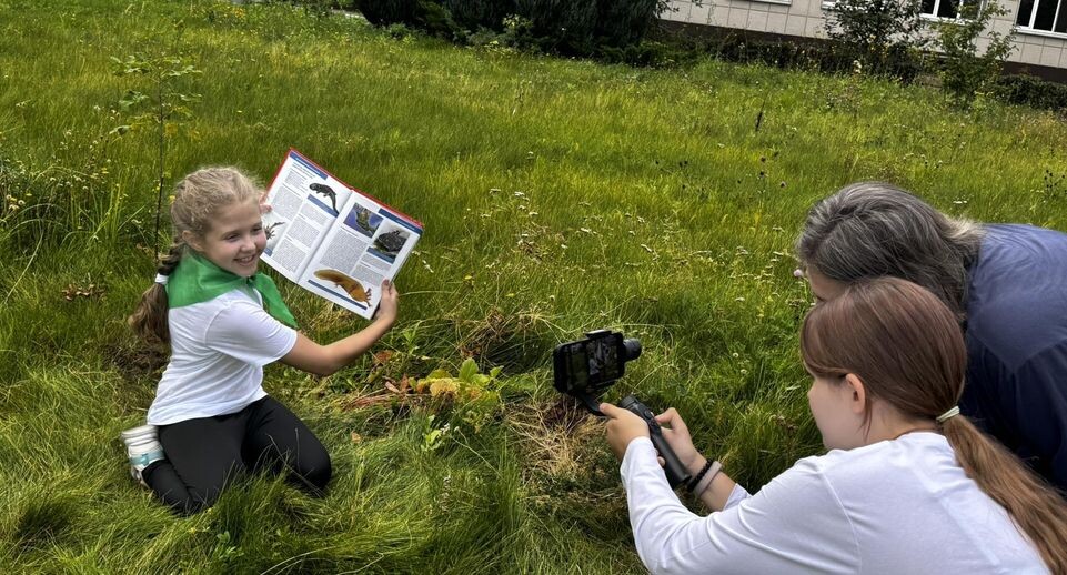    Министерство образования Московской области
