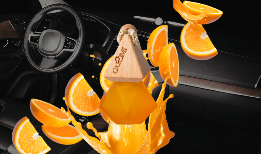 Подвесной ароматизатор Сaromi  Апельсин арт. ВБ 17590210 