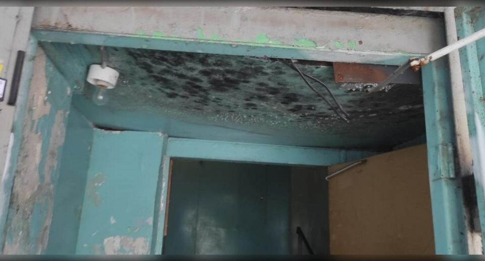    предоставлено собеседницей