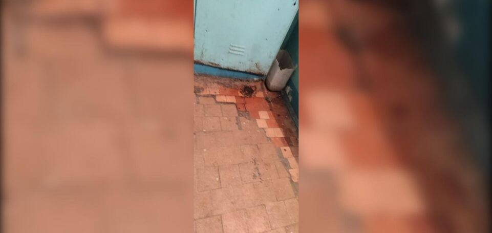     предоставлено собеседницей