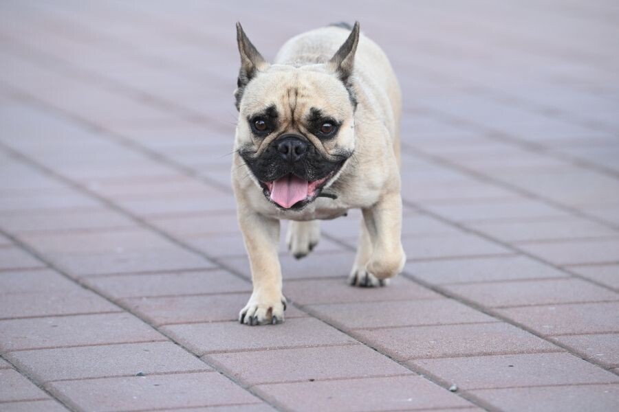     / Источник: © Екатерина Лызлова/РИА Новости