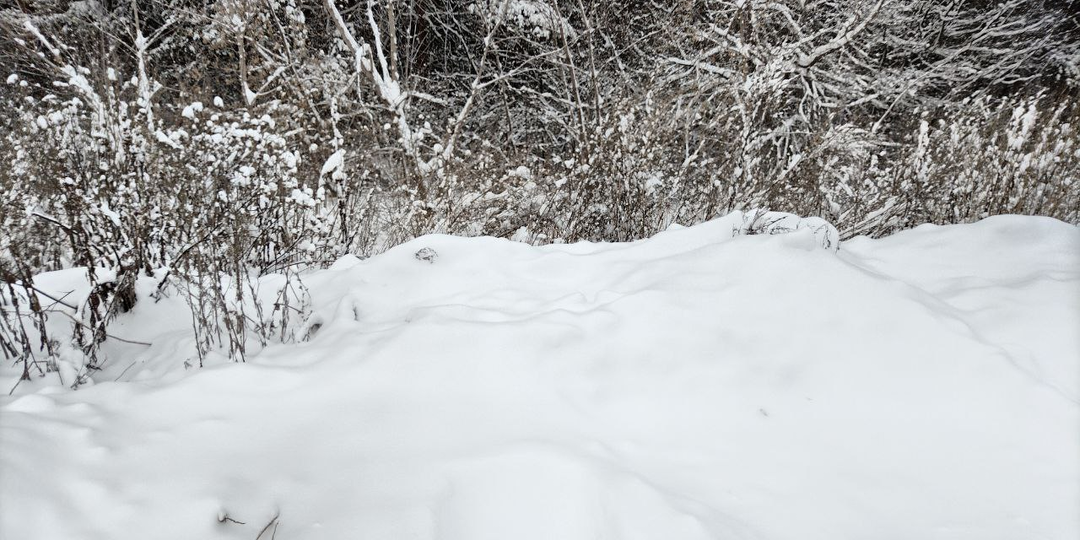 Сердце сироты. Глава 6.