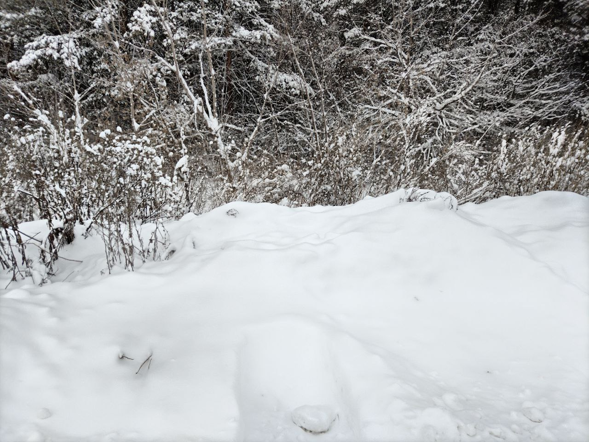 Фото автора.