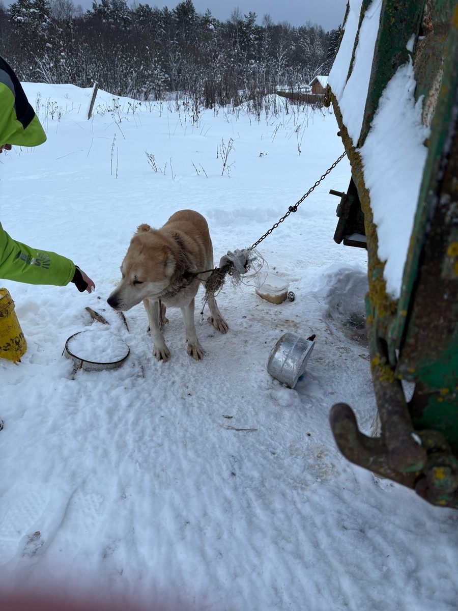    фото: © Заозерье Карелия