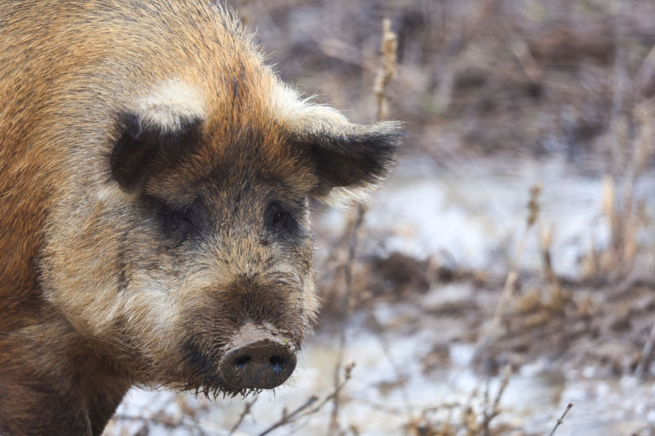    Наталья Шатохина/NEWS.ru